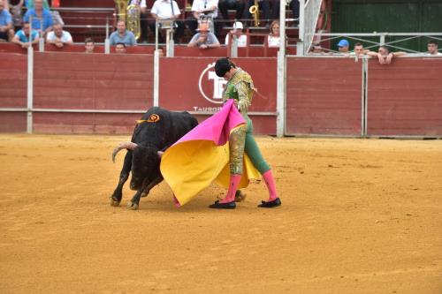 ¡Vuelven los toros a Perales de Tajuña! 