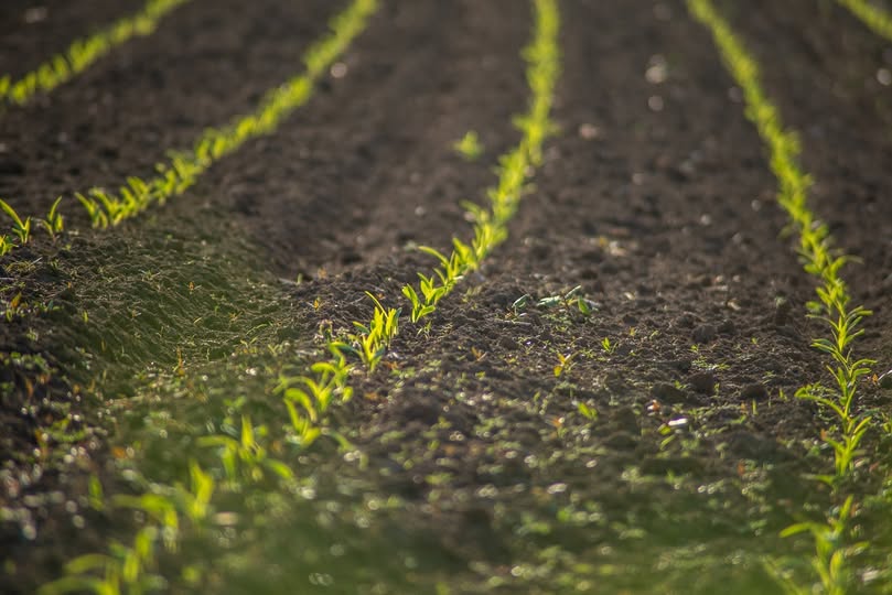 Ayudas de Comunidad de Madrid para nuevos agricultores - Ayuntamiento ...