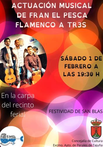 Actuación Musical de Fran El pesca y Flamenco a Tres