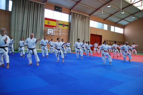 Más de 230 karatecas celebran en Perales los 150 años de relaciones entre España y Japón