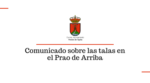 Comunicado del Ayuntamiento sobre las talas en el Prao de Arriba