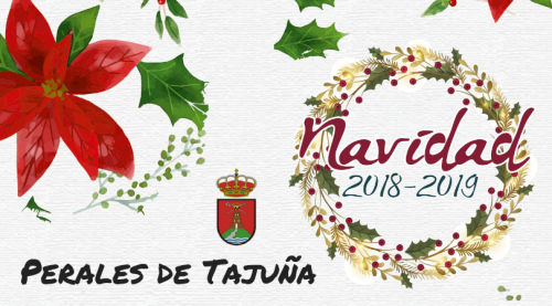 Programa Navideño