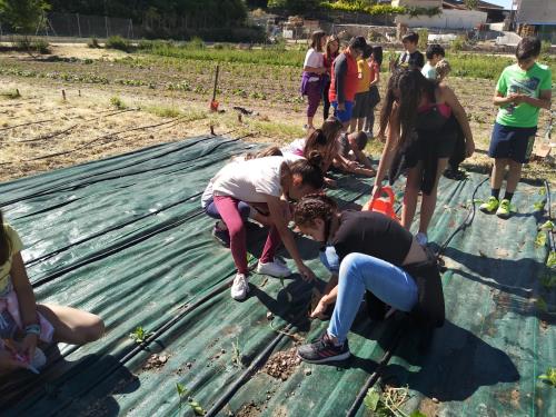 Los alumnos del colegio de Perales aprenden matemáticas en la huerta de AgroLab