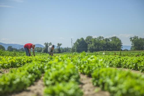 Ayudas para la modernización de las estructuras agrarias (2022)