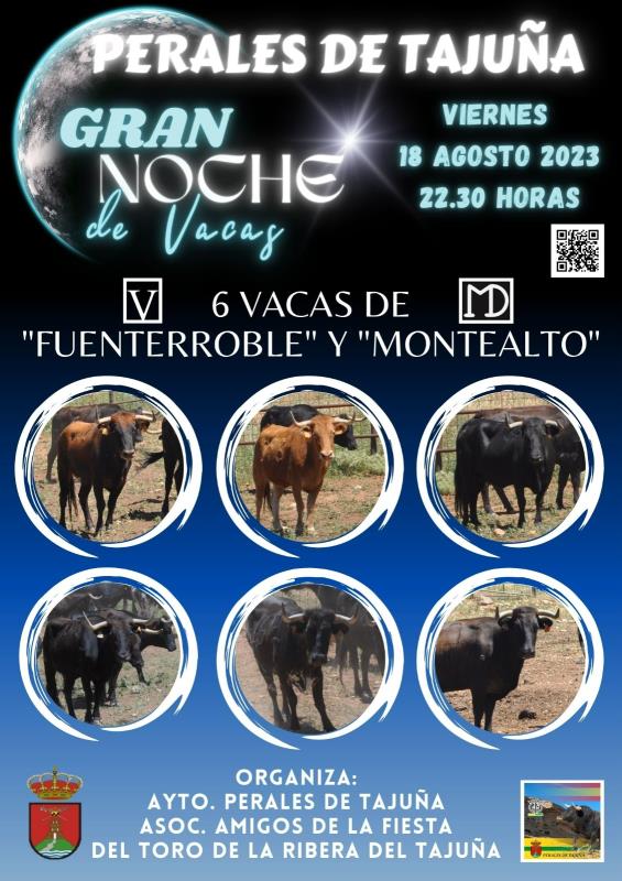 Cartel-toros-2023-2-t800