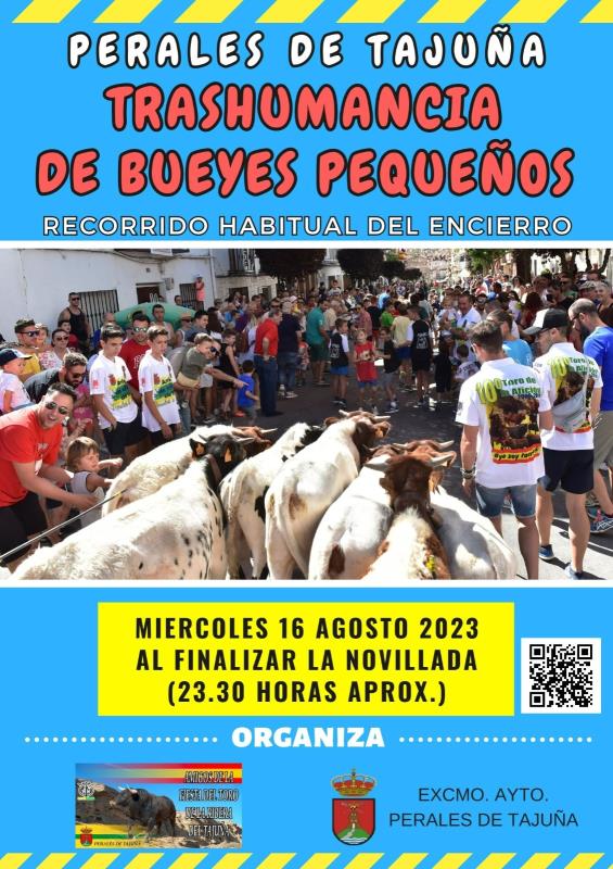 Cartel-toros-2023-4-t800