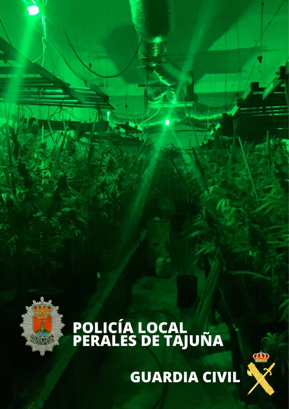 marihuana-perales-t800