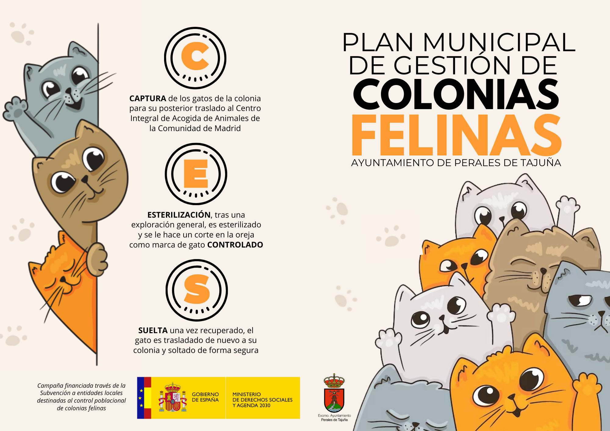 Plan Municipal De Control De Colonias Felinas