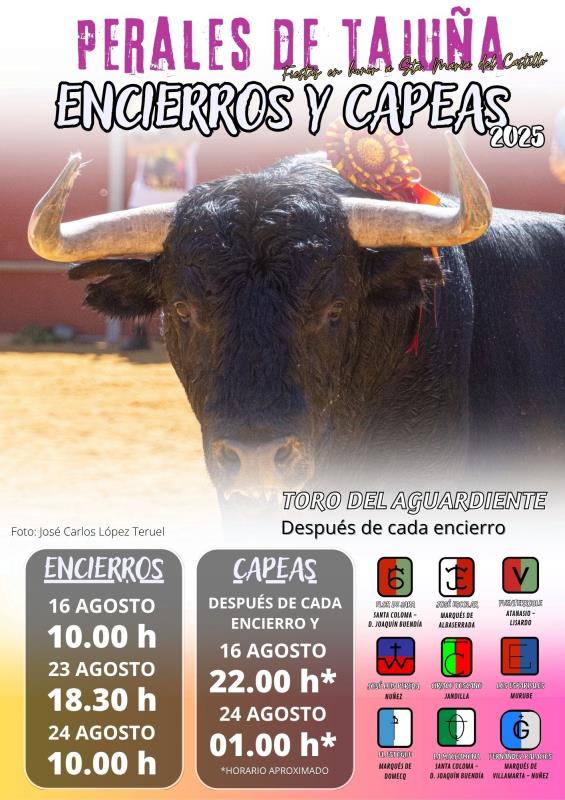 encierros(1)-t800