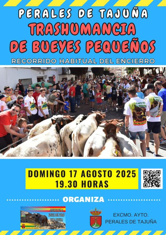 trashumancia(1)-t800